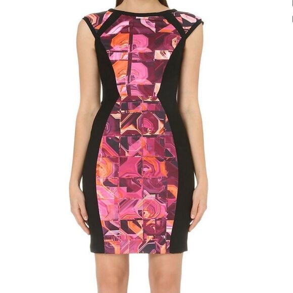Ted Baker London Jasmaii Geometric Panel Dress Size 6 - Picture 2 of 11